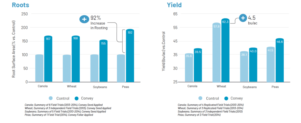 Charts showing differences in root surface area and yield after applying Convey products