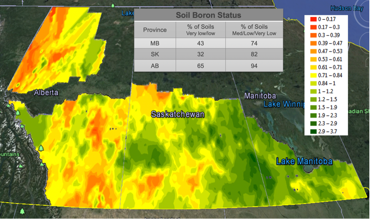 Boron Deficiency is on the Rise ATP Ag Restoring the Balance
