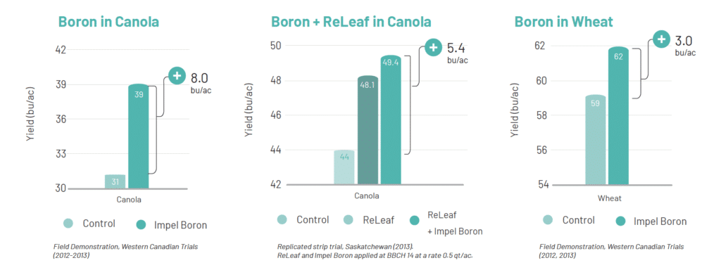 Charts showing differences in yield when applying Impel Boron