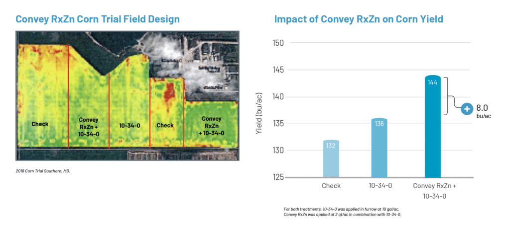 Images showing Impact of Convey RxZn on Corn Yield