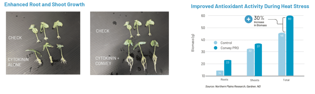 Visuals showing differences in plants after applying convey pro