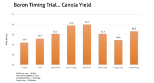 Boron Timing Trial in Canola