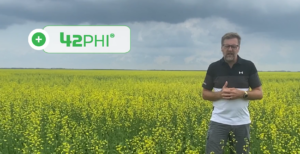 Set your yield with 42phi