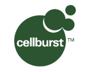 Cellburst logo Cellburst logo