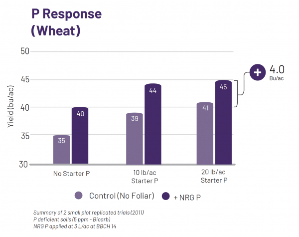 NRG P Chart NRG P Chart